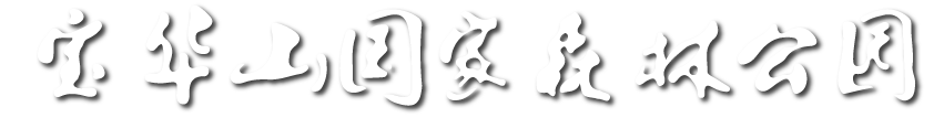 宝华山国家森林公园
