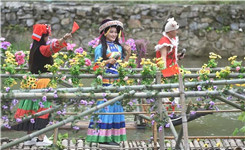 第十届宝华山泡山节即将开幕!