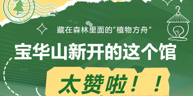 两天，破万！宝华山新开的这个馆太赞啦~