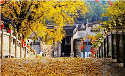 误入宝华山