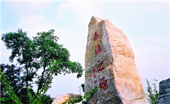 溶化在宝华春韵里