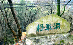 虔诚宝华 更恋绿意