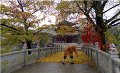 宁静如古宝华山