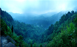 登临宝华山 让心灵旅行